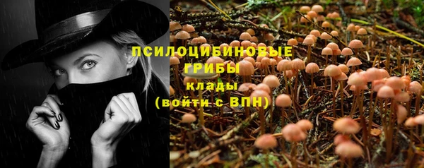 прущая мука Бородино
