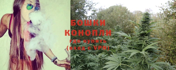 ГАЛЛЮЦИНОГЕННЫЕ ГРИБЫ Бугульма