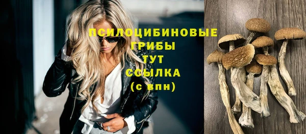 COCAINE Богородицк