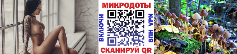 Галлюциногенные грибы мухоморы  Камбарка 