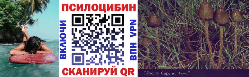 Галлюциногенные грибы Psilocybe Камбарка