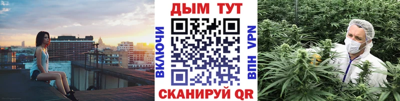 Каннабис планчик  Камбарка 